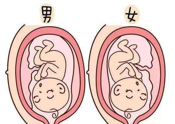 上海捐卵代孕哪家好，上海看卵巢囊肿哪家医院好上海治卵巢囊肿医院哪个好
