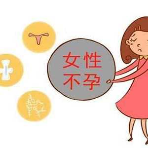 北京2024年供卵试管婴儿成功率高吗
