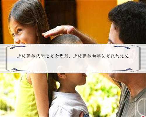 上海供卵试管选男女费用，上海供卵助孕包男孩的定义