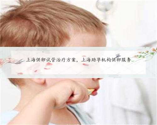 上海供卵试管治疗方案，上海助孕机构供卵服务
