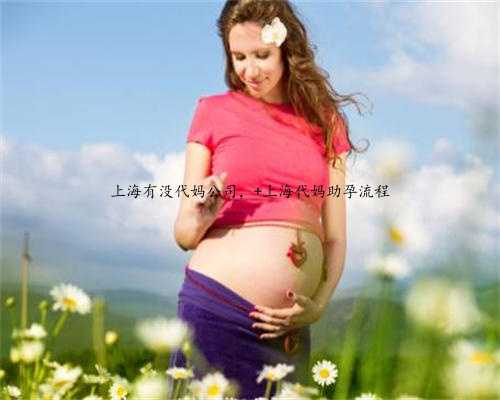上海有没代妈公司， 上海代妈助孕流程
