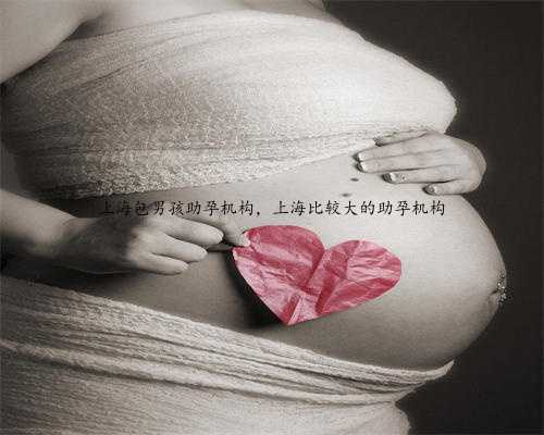 上海包男孩助孕机构，上海比较大的助孕机构