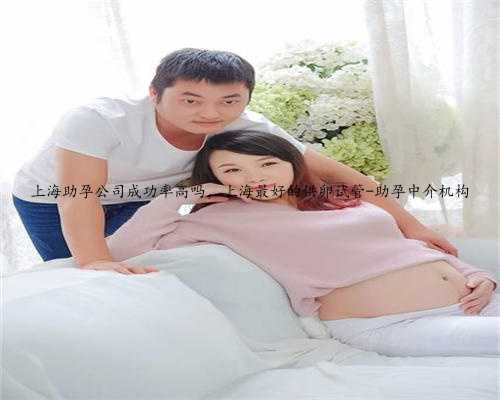 上海助孕公司成功率高吗，上海最好的供卵试管-助孕中介机构