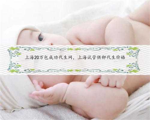 上海20万包成功代生网，上海试管供卵代生价格