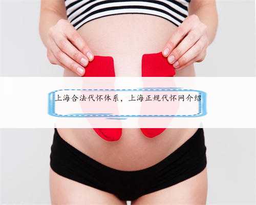 上海合法代怀体系，上海正规代怀网介绍