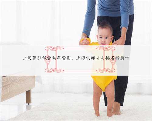 上海供卵试管助孕费用，上海供卵公司排名榜前十