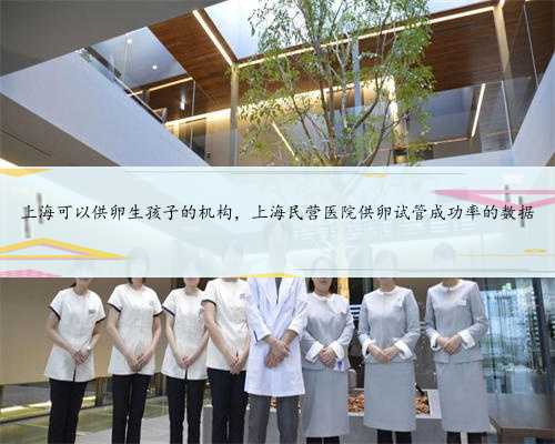 上海可以供卵生孩子的机构，上海民营医院供卵试管成功率的数据