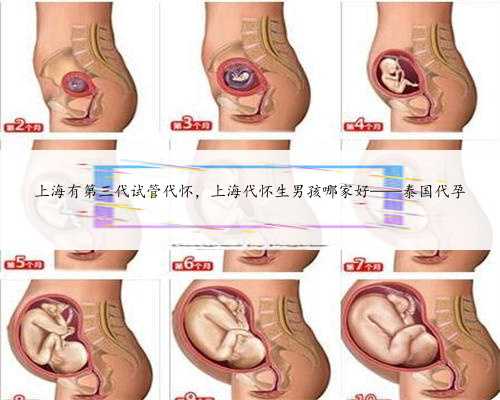 上海有第三代试管代怀，上海代怀生男孩哪家好——泰国代孕