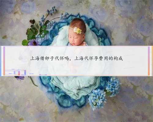 上海借卵子代怀吗，上海代怀孕费用的构成