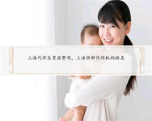 上海代怀生男孩费用，上海供卵代怀机构排名