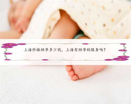 上海价格助孕多少钱，上海有助孕的服务吗？