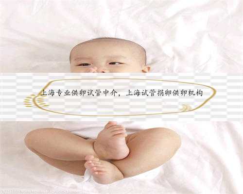 <b>上海专业供卵试管中介，上海试管捐卵供卵机构</b>