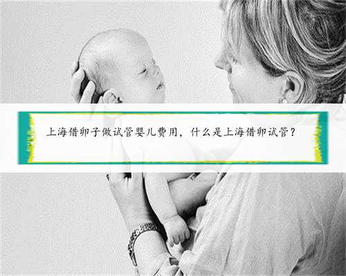 上海借卵子做试管婴儿费用，什么是上海借卵试管？