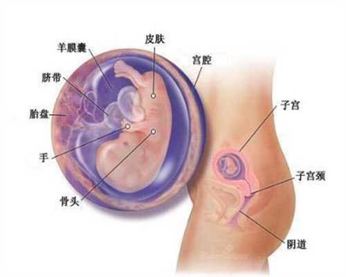 如何应对孕期出现的心慌和气喘：深圳添一代孕