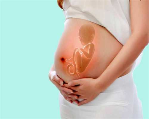 孕期食谱适合助孕吃的食物有哪些