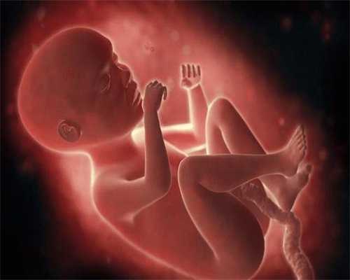 助孕早期应该怎么保胎