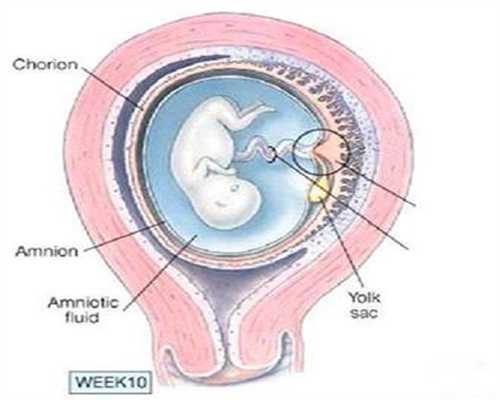 助孕期间可以唱歌吗：助孕吃哪款维生素e