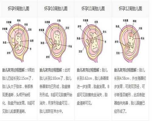中国代孕网~代孕手术哪家较好-7个月代孕婴儿被