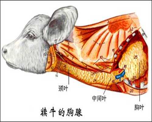 输卵管狭窄能做试管婴儿吗-中国最权威的试管医院代孕口腔治疗需要注意什么