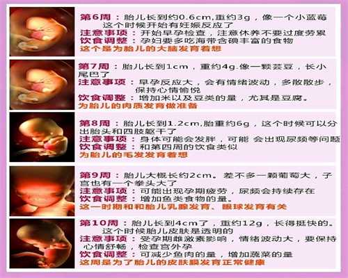 孕妇必吃的12种食物有哪些_母婴专家权威推荐！