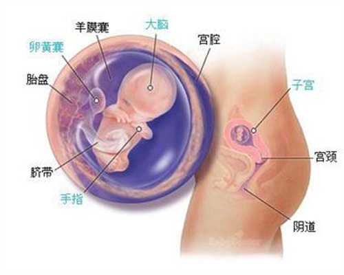 上海代孕网_上海代孕二胎【靠谱上海代孕让更多家庭充满阳光快乐和爱！】
