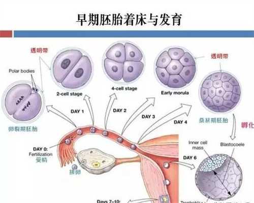 中国代孕地址,代孕机构哪家好多少钱正确的胎教能有效培养代孕胎儿感觉能力
