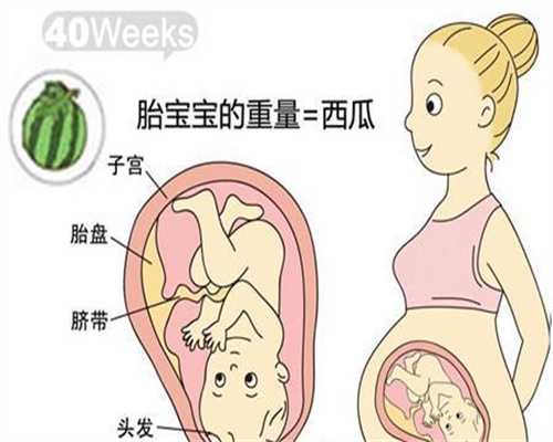 上海代生孩子公司网上海助孕优质