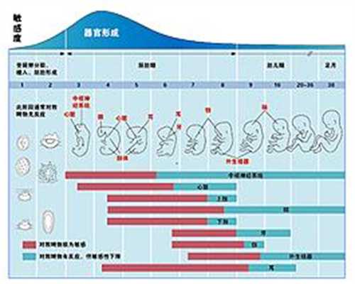 上海供卵生的孩子算亲生吗_上海借卵代生生子费用