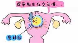 上海单身女性可以做试管吗,未婚女子可以做试管婴儿吗