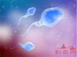2022年上海能做供卵试管助孕的医院名单，5家医院在技术上满足条件
