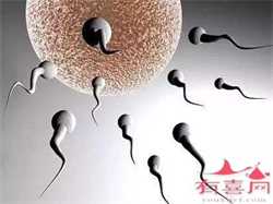 上海妇女儿童医院能供卵做第三代试管婴儿吗？