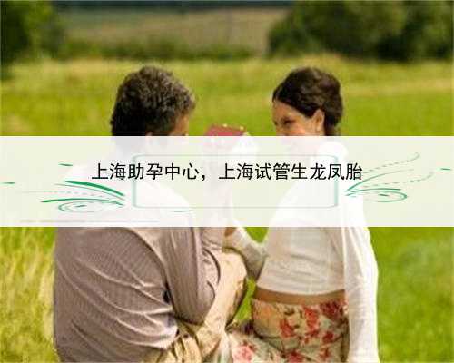 上海助孕中心，上海试管生龙凤胎