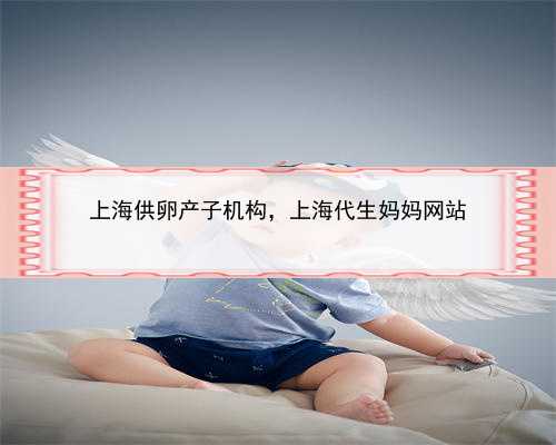上海供卵产子机构，上海代生妈妈网站