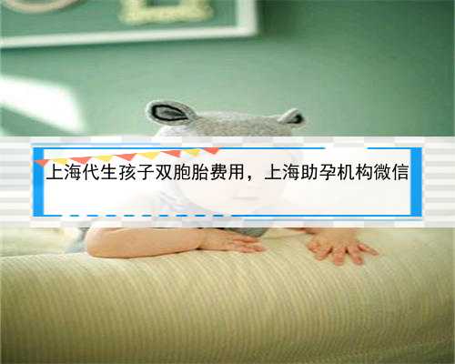 上海代生孩子双胞胎费用，上海助孕机构微信