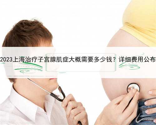 2023上海治疗子宫腺肌症大概需要多少钱？详细费用公布