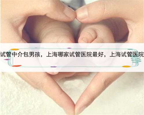 上海助孕试管中介包男孩，上海哪家试管医院最好，上海试管医院排名介绍