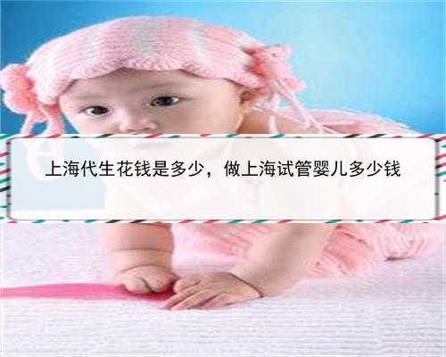 上海代生花钱是多少，做上海试管婴儿多少钱