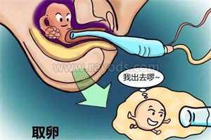 郑州代孕有血缘吗，郑州女性输卵管堵塞会排卵吗