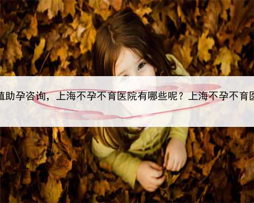 <b>上海生殖助孕咨询，上海不孕不育医院有哪些呢？上海不孕不育医院排名</b>