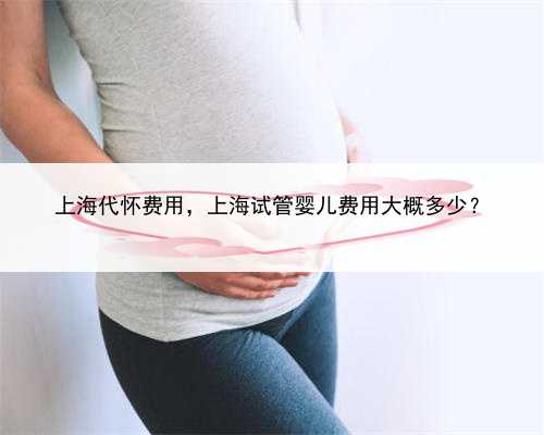 上海代怀费用，上海试管婴儿费用大概多少？