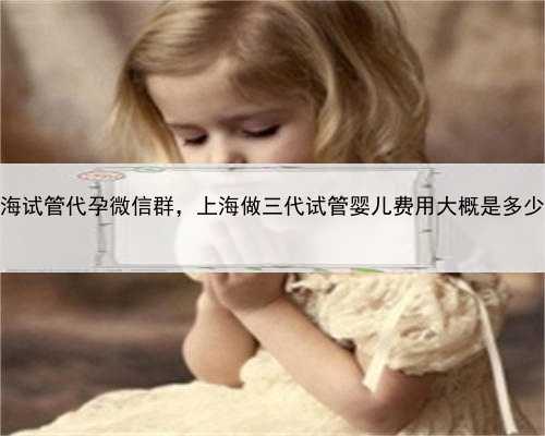 上海试管代孕微信群，上海做三代试管婴儿费用大概是多少？