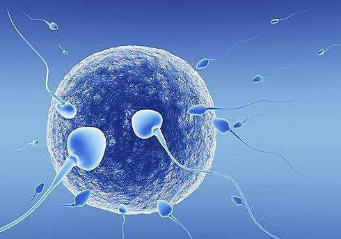 安徽有哪些医院能供卵，2022年安徽医科大学第一附属医院做供卵试管婴儿费用