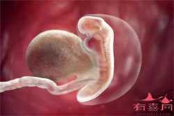 南京助孕公司微信-2023湖南省私立公立试管婴儿助孕生子医院榜单