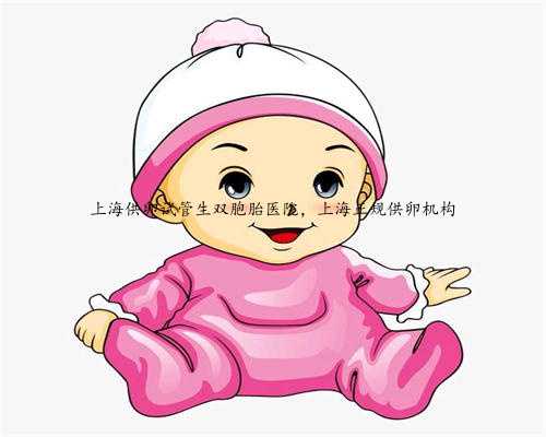 上海供卵试管生双胞胎医院，上海正规供卵机构