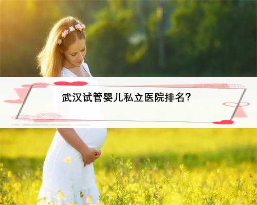武汉试管婴儿私立医院排名？