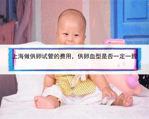 上海做供卵试管的费用，供卵血型是否一定一致