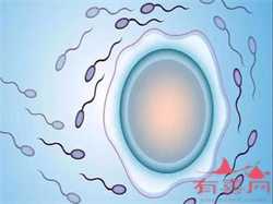 郑州哪里供卵成功率高，卵巢减退适合供卵吗
